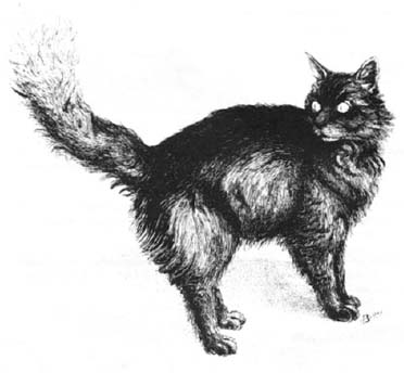 Datei:Critter Blackberry cat.jpg