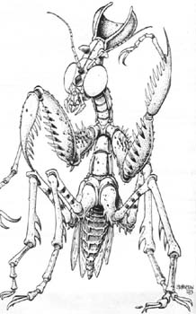 Datei:Critter Wyrd Mantis.jpg