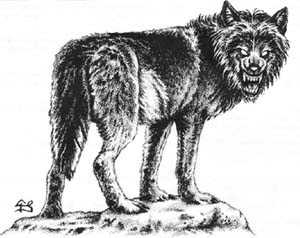 Datei:Critter Fenrir Wolf.jpg