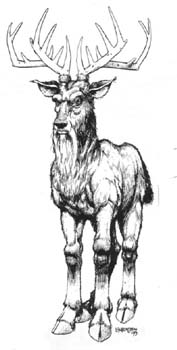 Datei:Critter Grandfather Elk.jpg