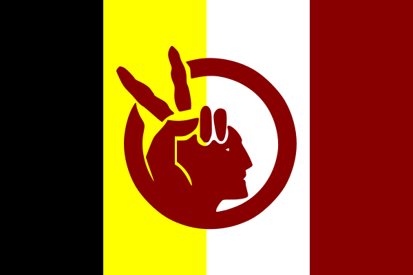 Datei:Flagge American Indian Movement.png