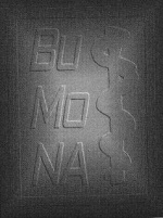 Symbol BuMoNA Klein.JPG