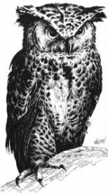 Critter Gloaming Owl.jpg