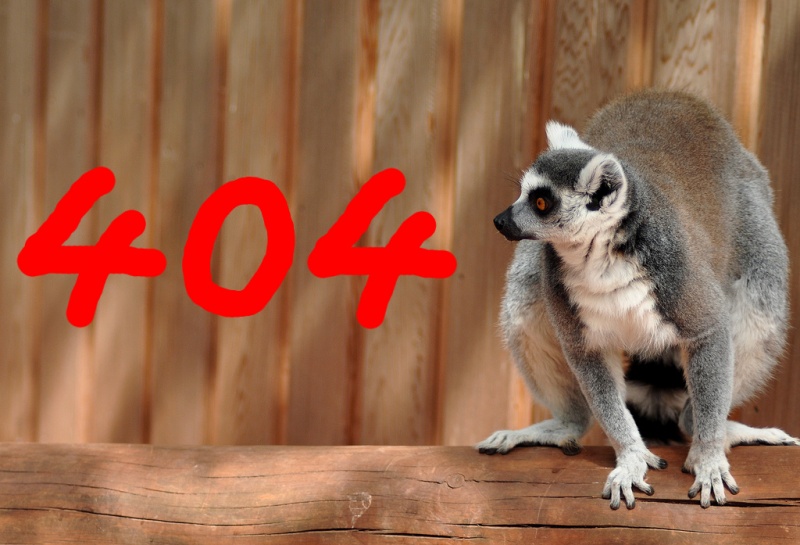 Datei:Lemur 404.jpg